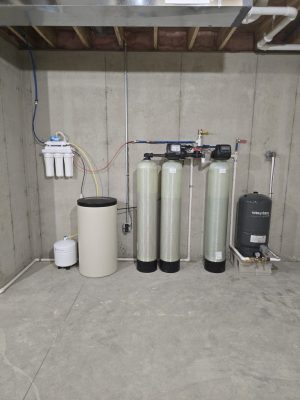 1000015545 1000015545