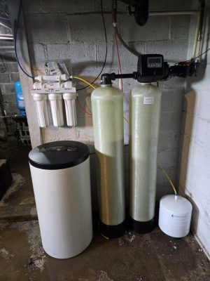 1000015644 1000015644